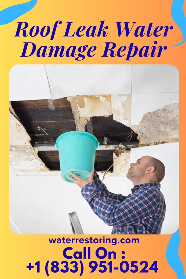 Roof Leak Water Damage Repair in Allerton, IA